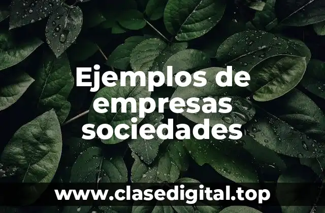 Ejemplos de empresas sociedades