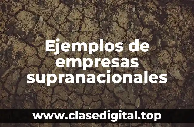 Ejemplos de empresas supranacionales