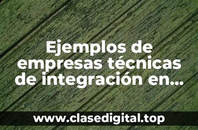 Ejemplos de empresas técnicas de integración en una empresa