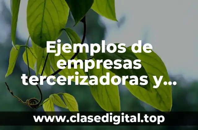 Ejemplos de empresas tercerizadoras y Significado