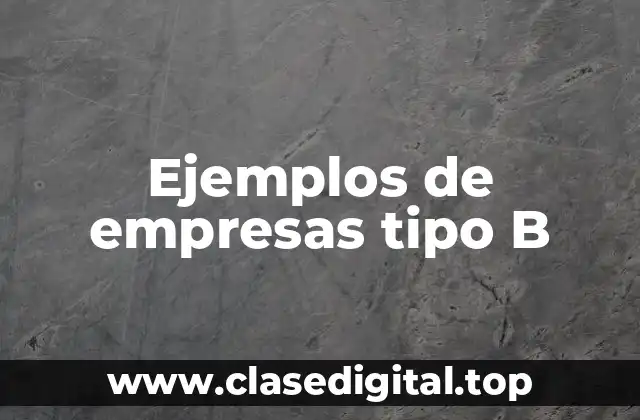 Ejemplos de empresas tipo B
