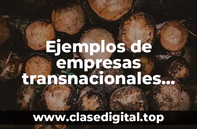 Ejemplos de empresas transnacionales extranjeras