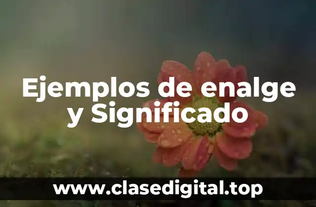 Ejemplos de enalge y Significado