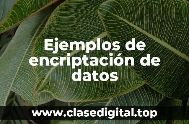 Ejemplos de encriptación de datos
