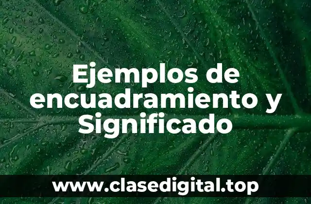 Ejemplos de encuadramiento