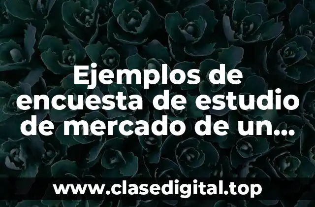 Ejemplos de encuestas de estudio de mercado de un producto