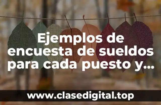 Ejemplos de encuesta de sueldos para cada puesto y Significado