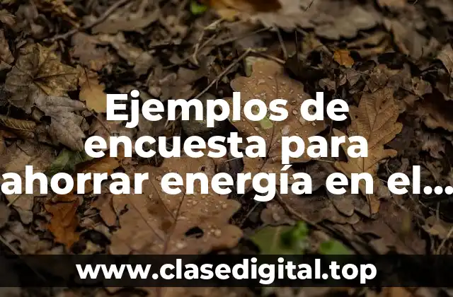 Ejemplos de encuesta para ahorrar energía en el hogar