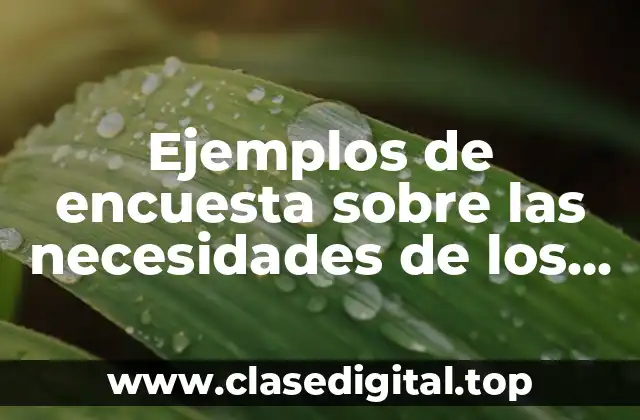 Ejemplos de encuesta sobre las necesidades de los consumidores