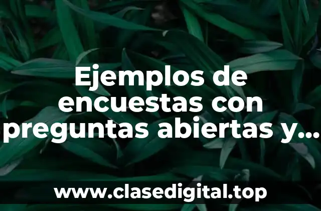 Ejemplos de encuestas con preguntas abiertas y cerradas