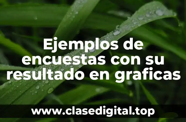 Ejemplos de encuestas con su resultado en graficas