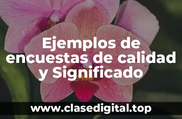 Ejemplos de encuestas de calidad y Significado