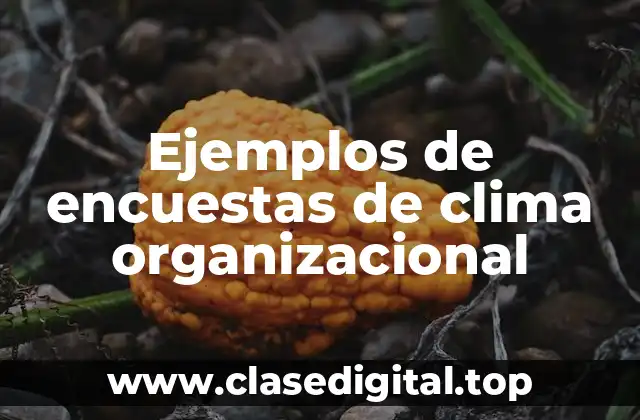 Ejemplos de encuestas de clima organizacional