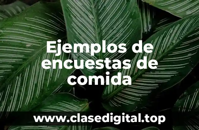 Ejemplos de encuestas de comida