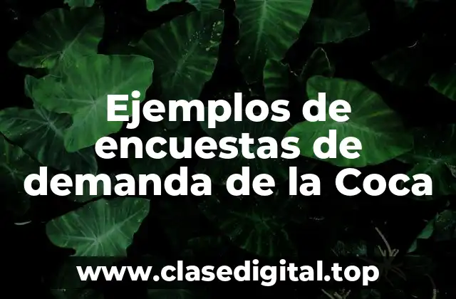 Ejemplos de encuestas de demanda de la Coca-Cola
