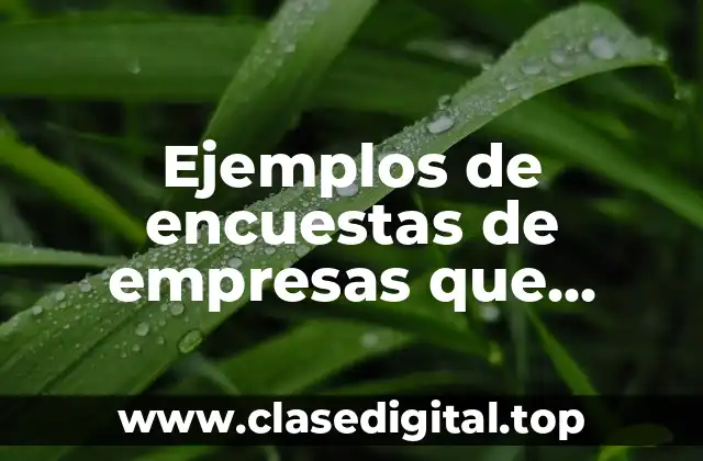 Ejemplos de encuestas de empresas que venden por método de matrícula