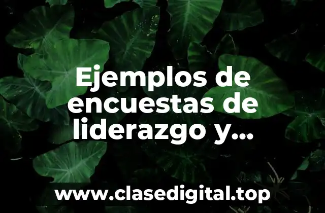 Ejemplos de encuestas de liderazgo y Significado