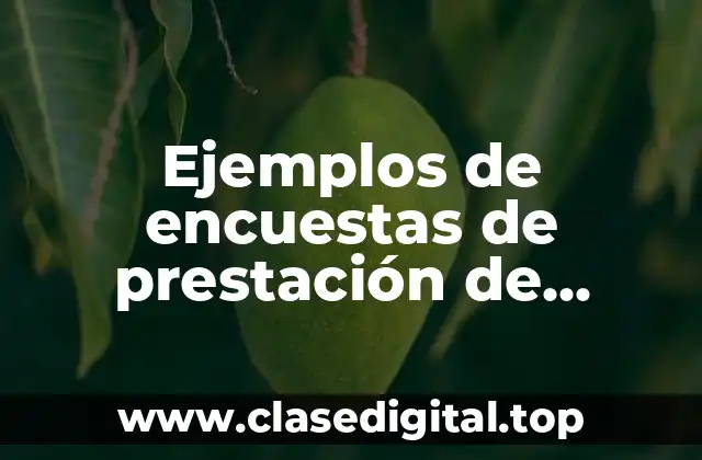 Ejemplos de encuestas de prestación de servicios luz