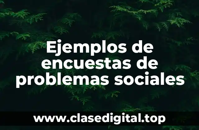 Ejemplos de encuestas de problemas sociales