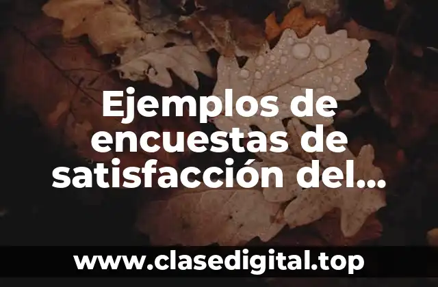 Ejemplos de encuestas de satisfacción del cliente y Significado