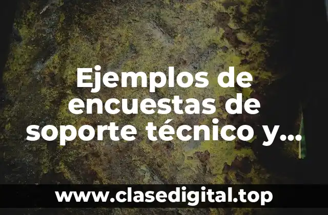 Ejemplos de encuestas de soporte técnico y Significado