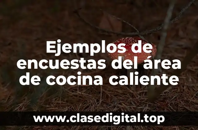 Ejemplos de encuestas del área de cocina caliente