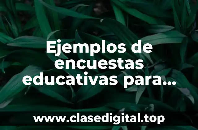 Ejemplos de encuestas educativas para docentes