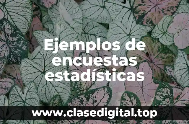 Ejemplos de encuestas estadísticas