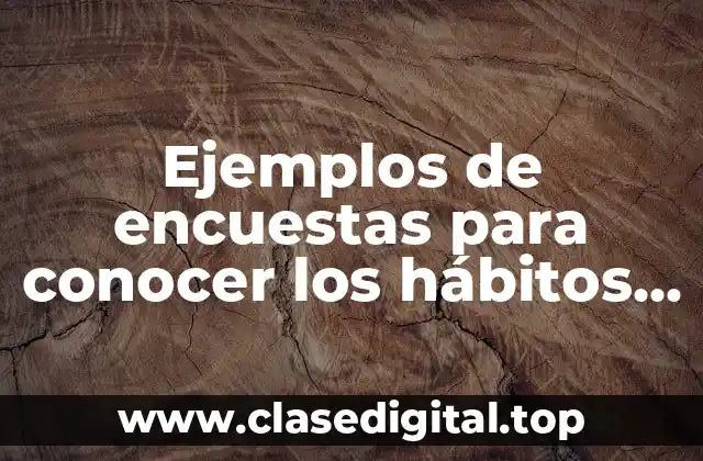 Ejemplos de encuestas para conocer los hábitos de los turistas