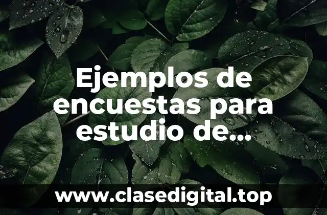 Ejemplos de encuestas para estudio de productos hacia los compradores y Significado