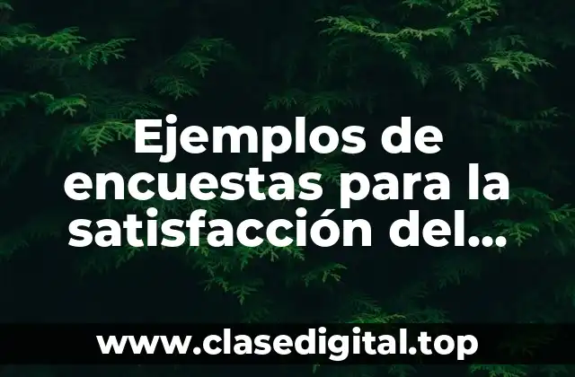 Ejemplos de encuestas para la satisfacción del cliente y Significado