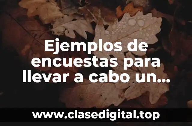 Ejemplos de encuestas para llevar a cabo un negocio