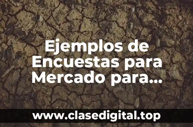 Ejemplos de Encuestas para Mercado para Guardería para Adultos Mayores