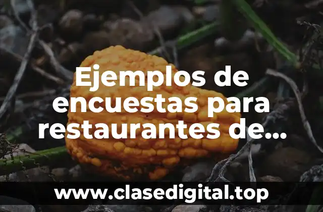 Ejemplos de encuestas para restaurantes de servicio a domicilio