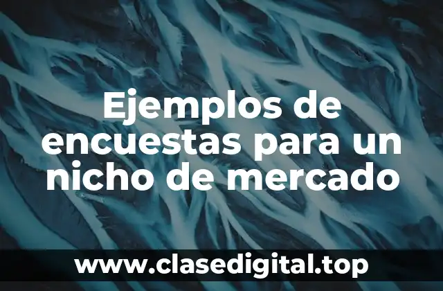 Ejemplos de encuestas para un nicho de mercado