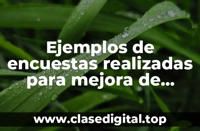 Ejemplos de encuestas realizadas para mejora de adornos navideños nuevos