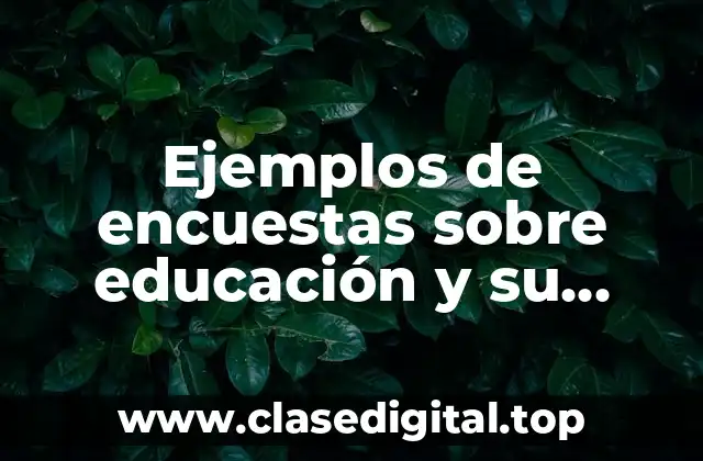 Ejemplos de encuestas sobre educación y su presentación
