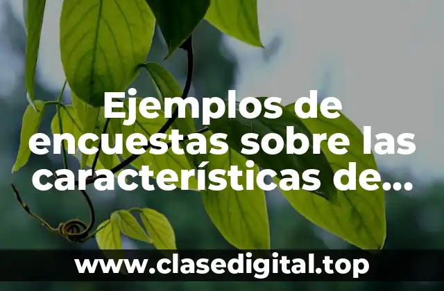 Ejemplos de encuestas sobre las características de viviendas