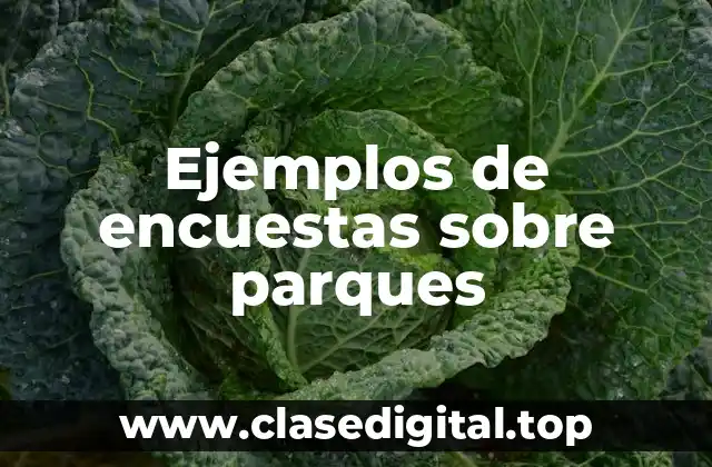 Ejemplos de encuestas sobre parques