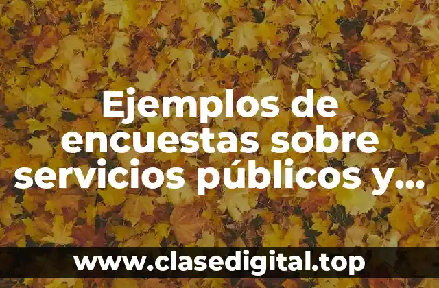 Ejemplos de encuestas sobre servicios públicos y Significado