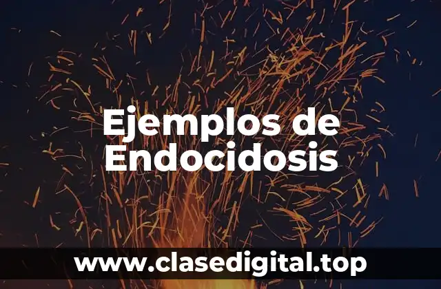Ejemplos de Endocidosis