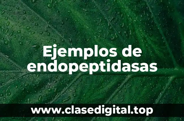 Ejemplos de endopeptidasas