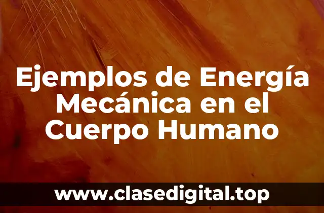 Ejemplos de Energía Mecánica en el Cuerpo Humano