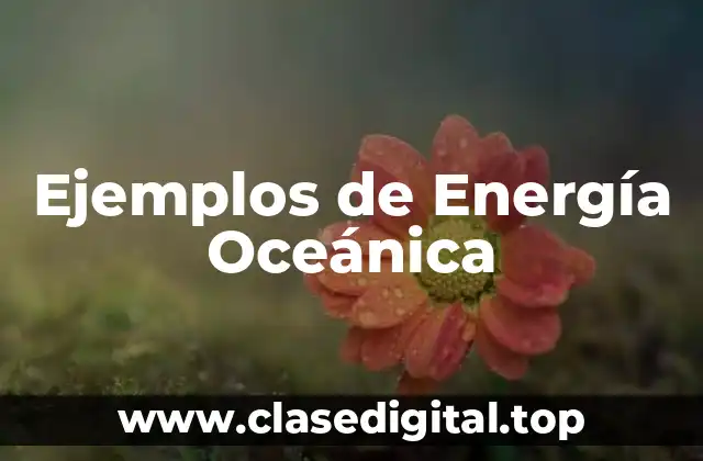 Ejemplos de Energía Oceánica