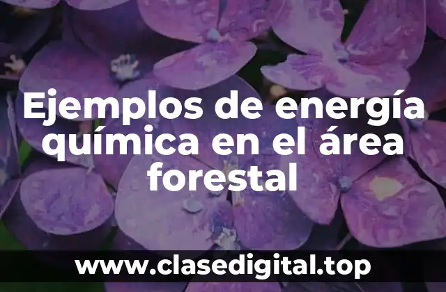 Ejemplos de energía química en el área forestal