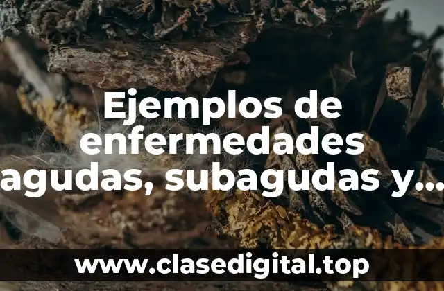 Ejemplos de enfermedades agudas, subagudas y crónicas y Significado