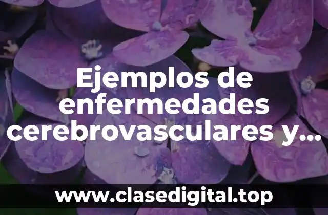 Ejemplos de enfermedades cerebrovasculares y Significado