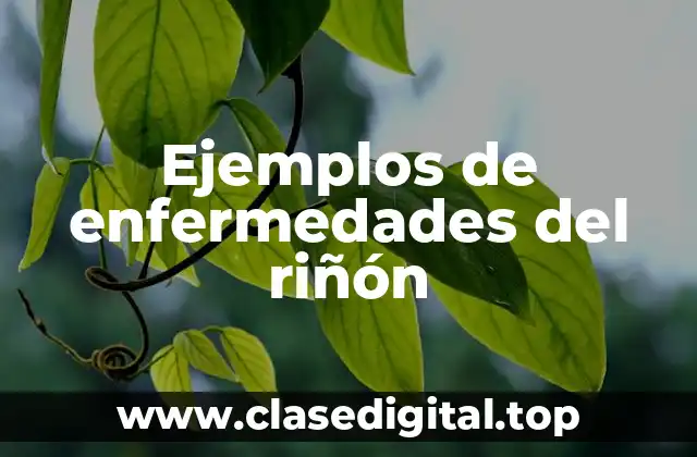 Ejemplos de enfermedades del riñón