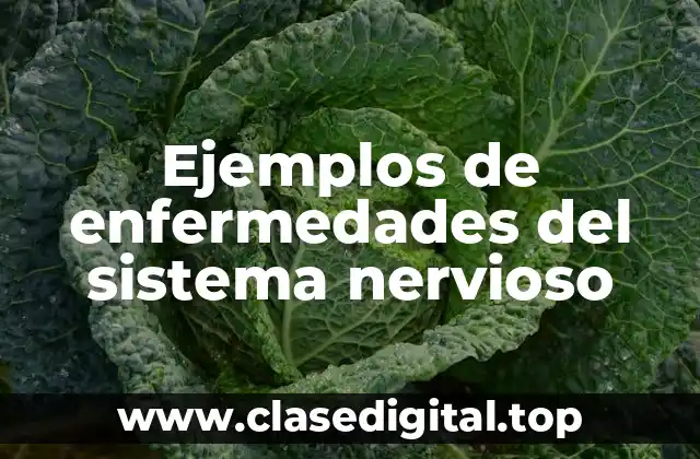 Ejemplos de enfermedades del sistema nervioso