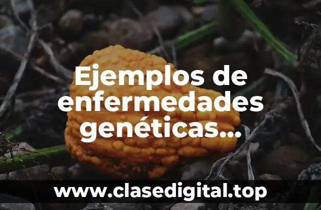 Ejemplos de enfermedades genéticas provocadas por la modificación de